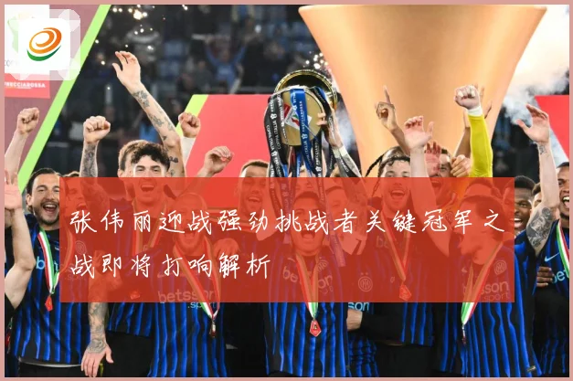 张伟丽迎战强劲挑战者关键冠军之战即将打响解析