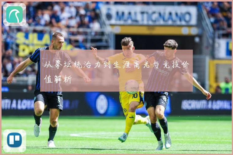 从拳坛统治力到生涯高光与竞技价值解析
