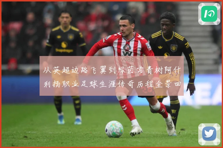 从英超边路飞翼到绿茵常青树阿什利扬职业足球生涯传奇历程全景回顾