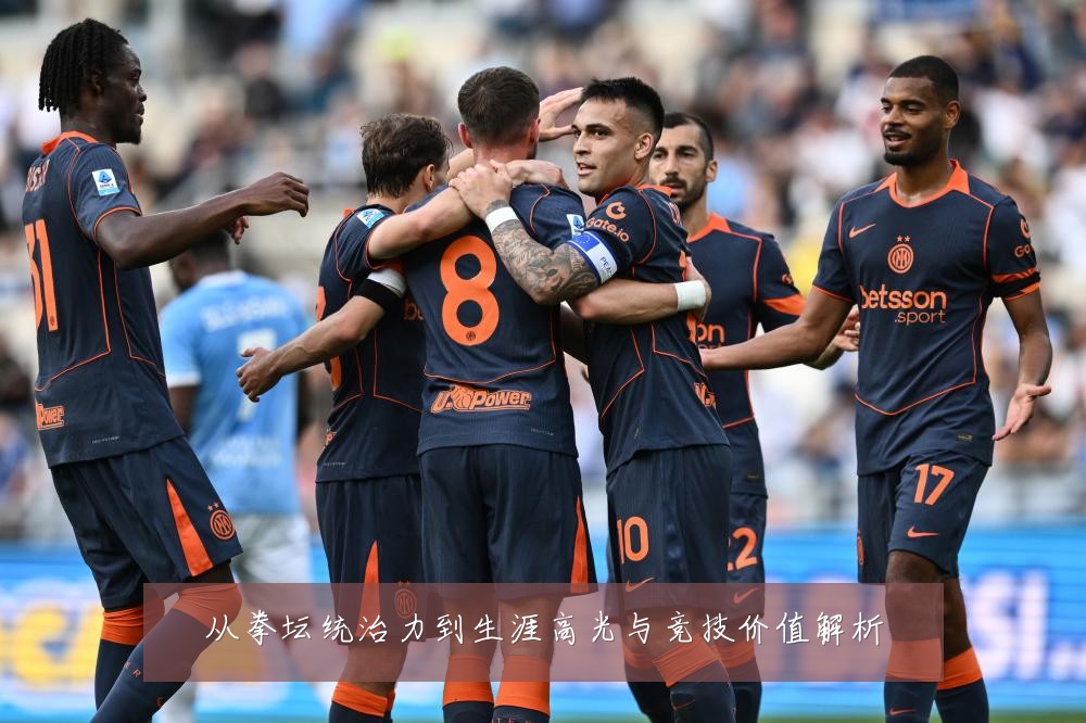 从拳坛统治力到生涯高光与竞技价值解析